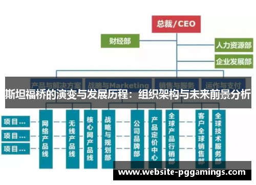 斯坦福桥的演变与发展历程：组织架构与未来前景分析